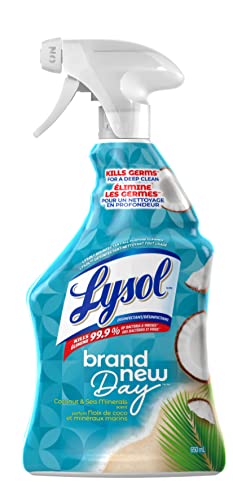 Lysol All Purpose Cleaner Trigger, Coconut & Sea Minerals, Kills Germs for a Deep Clean, 650mL